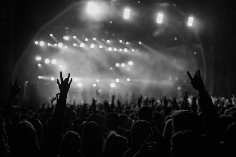 Silhouetted crowd at a live music event with stage lighting